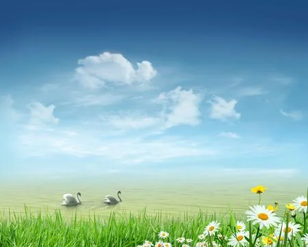 Landscape Foto stock