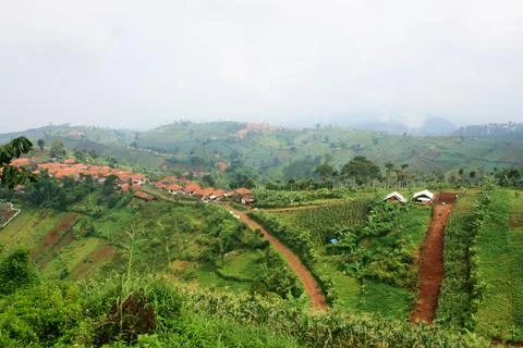 Landscape Stock Photos