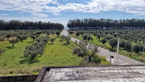 Landscape Foto stock