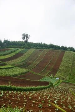 Landscape Stock Photos