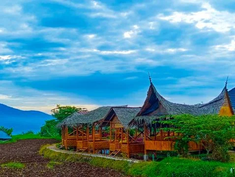 Landscape Stock Photos