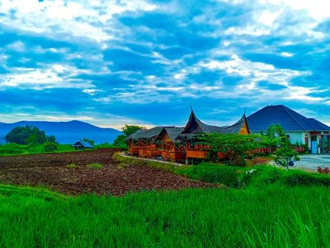 Landscape Stock-Fotos