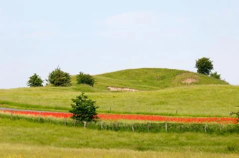 Landscape Stock Photos