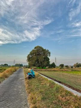 Landscape Stock Photos