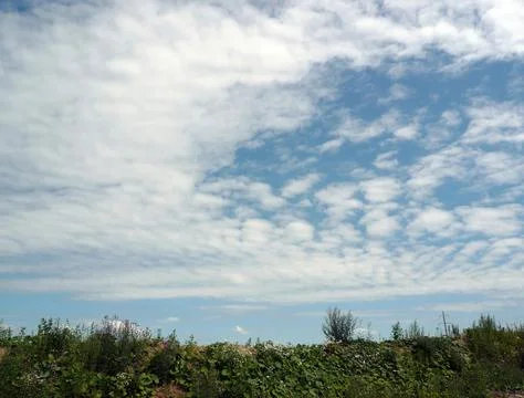 Landscape Stock Photos