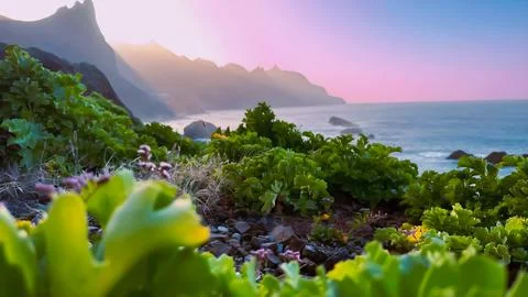 Landscape Stock Photos