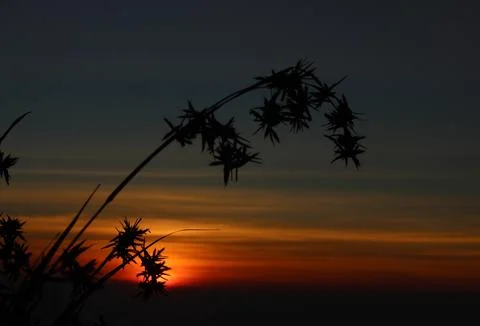 Landscape Stock Photos