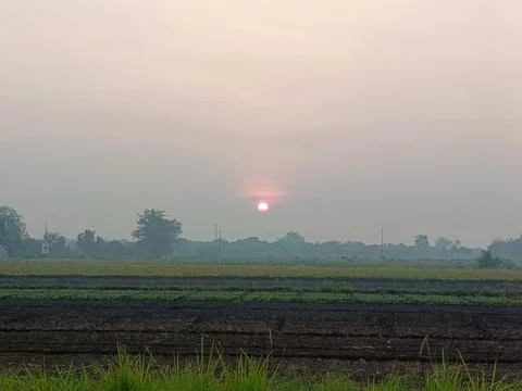 Landscape Stock Photos