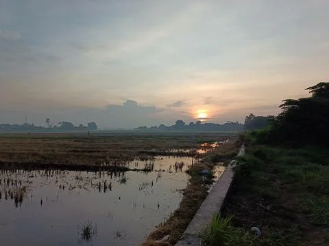 Landscape Stock Photos