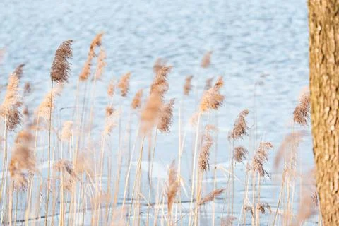 Landscape Stock Photos