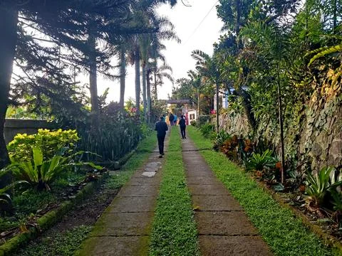 Landscape Stock Photos