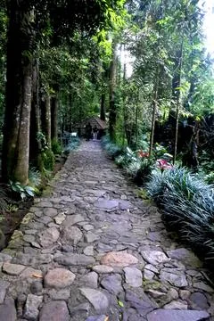 Landscape Stock Photos