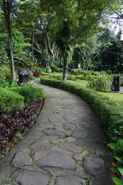 Landscape Stock Photos