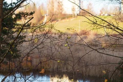 Landscape Stockfoto's