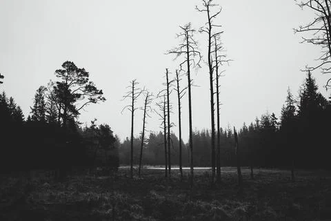 Landscape Stock Photos