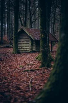 Landscape Stock Photos