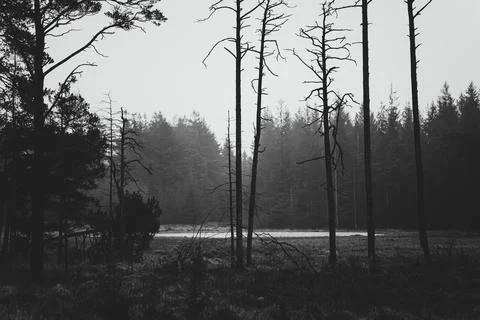 Landscape Stock Photos