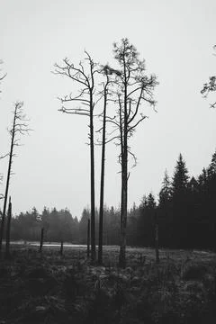 Landscape Stock Photos