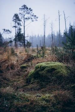 Landscape Stock Photos