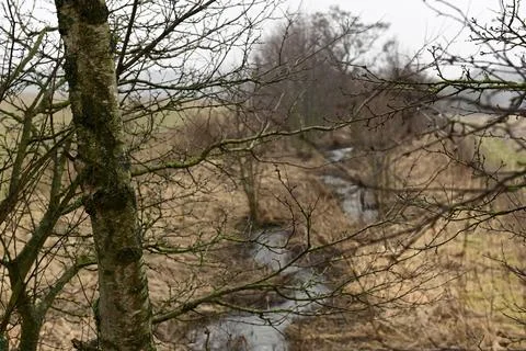 Landscape Foto stock