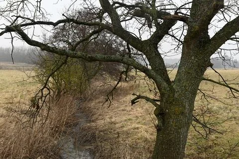 Landscape 库存照片