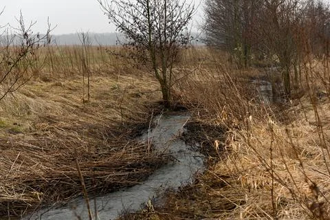 Landscape Foto stock