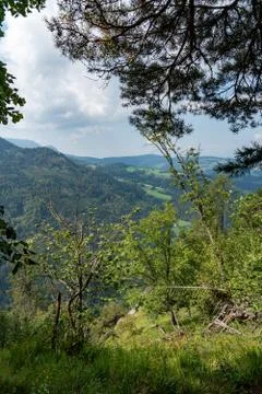 Landscape photographed through forest Stock Photos