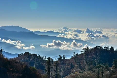 Landscape with pine forest , rows of ridges and clouds . Stock Photos