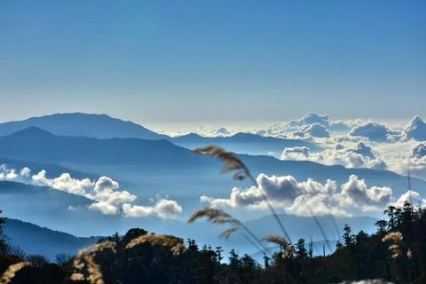 Landscape with pine forest , rows of ridges and clouds . Stock-Fotos