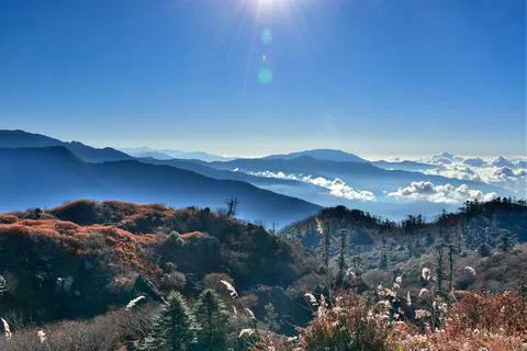 Landscape with pine forest , rows of ridges and clouds . Stock Photos