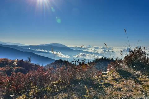 Landscape with pine forest , rows of ridges and clouds . Stock Photos