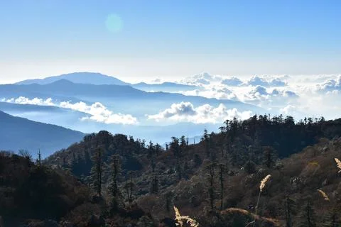 Landscape with pine forest , rows of ridges and clouds . Stock-Fotos
