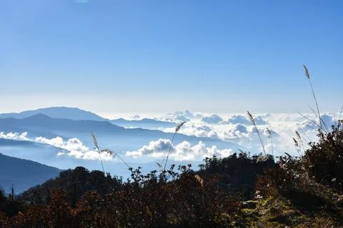 Landscape with pine forest , rows of ridges and clouds . Foto stock