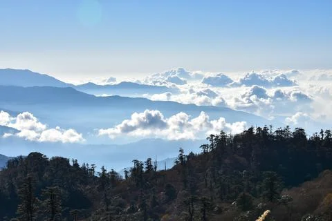 Landscape with pine forest , rows of ridges and clouds . Stock Photos