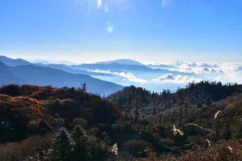 Landscape with pine forest , rows of ridges and clouds . Stock Photos