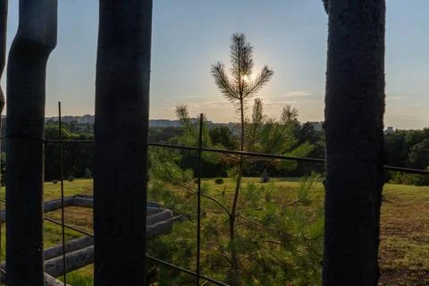 A landscape with a pine tree obscuring the sunset Stock Photos