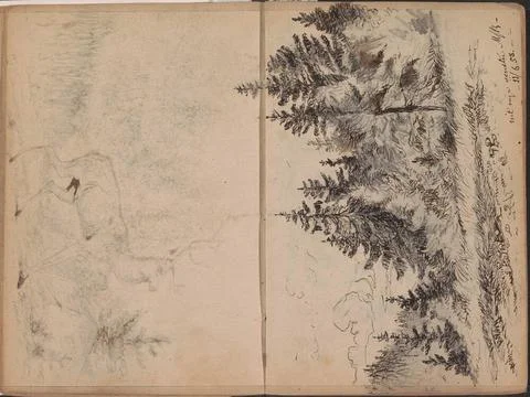 Landscape with pine trees. Leaf 11 Verso and 12 recto from a sketchbook wi... Stock Photos