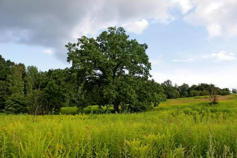 Landscape plain sky clouds Stock Photos