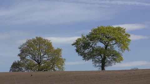 Landscape ploughed field blue sky zoom out Stock Footage 77268928