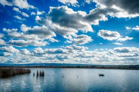 Landscape of pond with dramatic sky Stock Photos