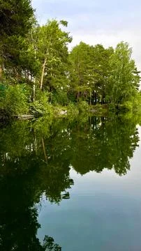Landscape pond in the forest. A pond on a cloudy day. Stock Photos