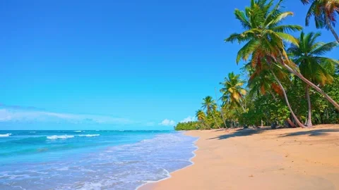 Landscape of a pristine clean beach and sea wave on a tropical Hawaiian island. Stock Footage 277656478