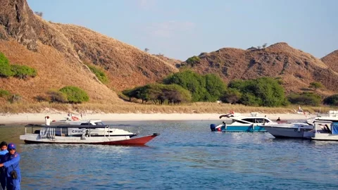 Landscape of Pristine Pink Beach and Blue Ocean with Speedboat in Labuan Bajo Stock Footage 341268568