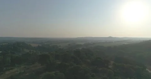 Landscape of Provence Stock Footage 83130639