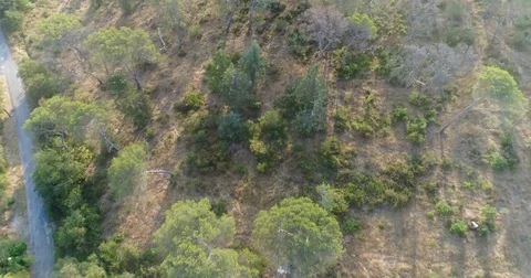 Landscape of Provence Stock Footage 83131108