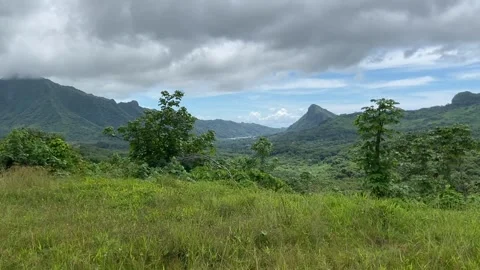 Landscape in Raiatea Vidéo 344416112