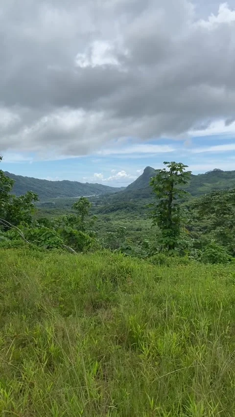 Landscape in Raiatea Vidéo 344416116