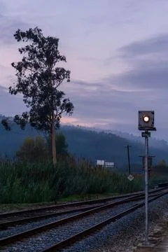 Landscape with railway semaphore, eucalyptus tree and railway tracks against Stock Photos