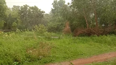 A landscape of rain and storms Stock Footage 130327348