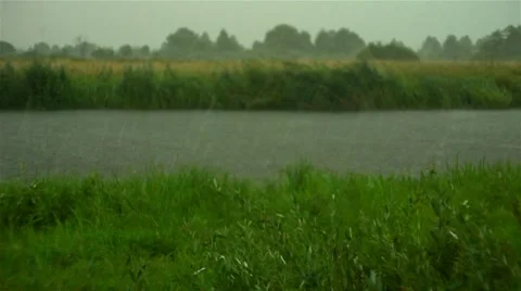 Landscape with rain. 스톡 동영상 8599393